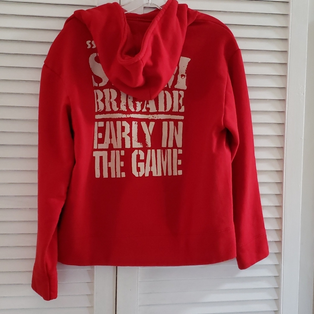 DS hoodie